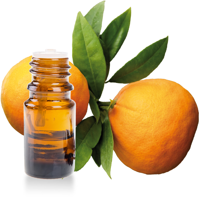 Mille Vertus Petitgrain Essential Oil 100% Pure (700x700)