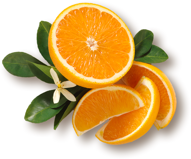 Our History - Mandarin Orange (638x530)