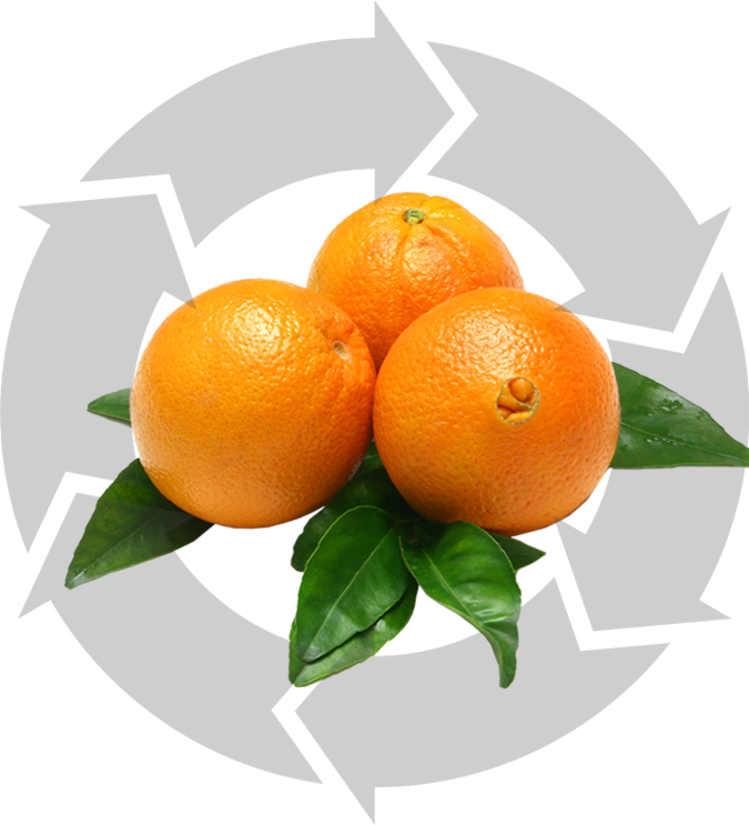 D-limonene Manufacturing - Iaas Aws (675x743)