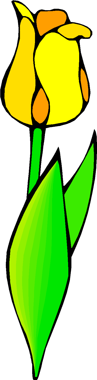 Clipart Gratis - Tulip (490x1613)