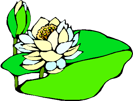 Clipart Gratis - Nenuphar Clipart (490x363)