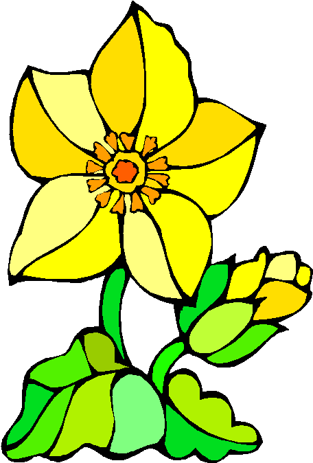 Clipart Gratis - Clip Art (490x685)