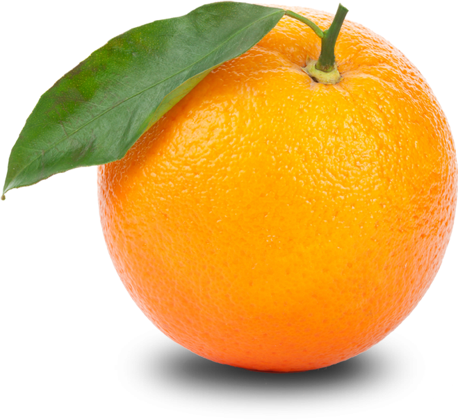 Orange Png Transparent Images - Orange Png (744x744)