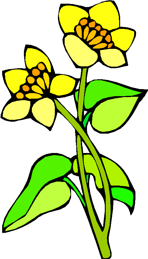 Clipart Gratis - Cross-stitch (490x858)