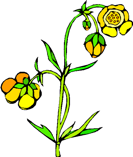 Clipart Gratis - Clipart Gratis (490x532)