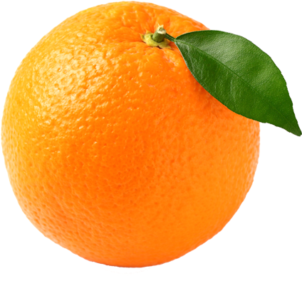 Other Fresh Scents - Organic Navel Oranges 10 Pack (500x500)