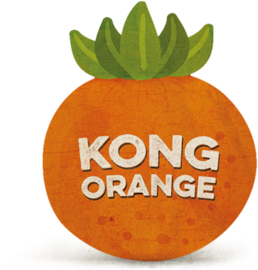 About Kong Orange & Partners - Kong Orange (900x803)