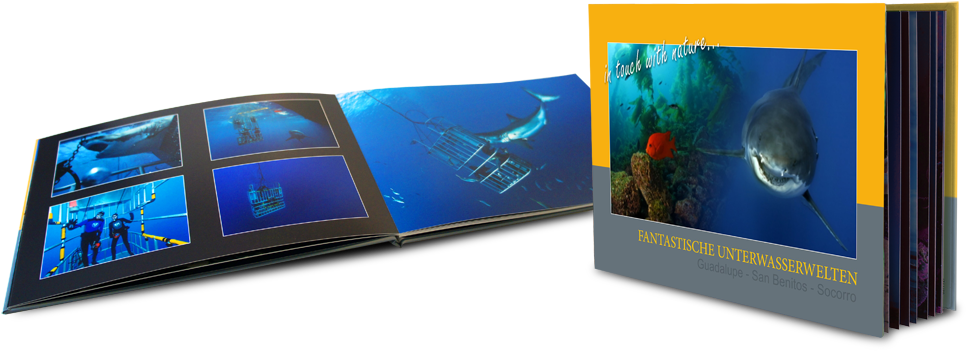 Mit Mattem Fotopapier Für Natürliche Farben - Marine Biology (1000x391)