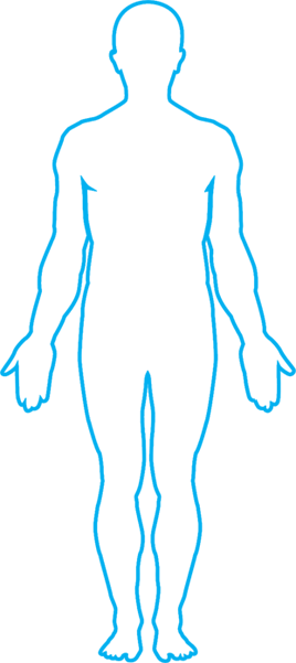 Moving Forward, More Than 95% Of The Survey Respondents - Male Body Outline Template (268x601)
