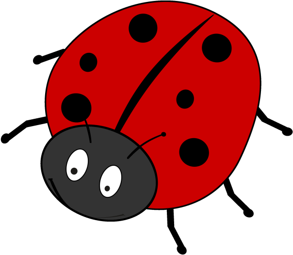 Pin Clipart Bilder - Glückskäfer Clipart (800x565)