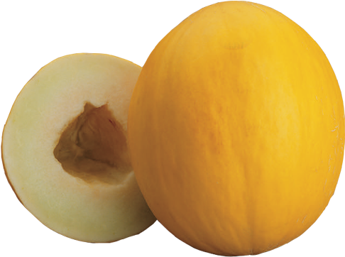 Juane Canari - Orange Flesh Honeydew (500x500)