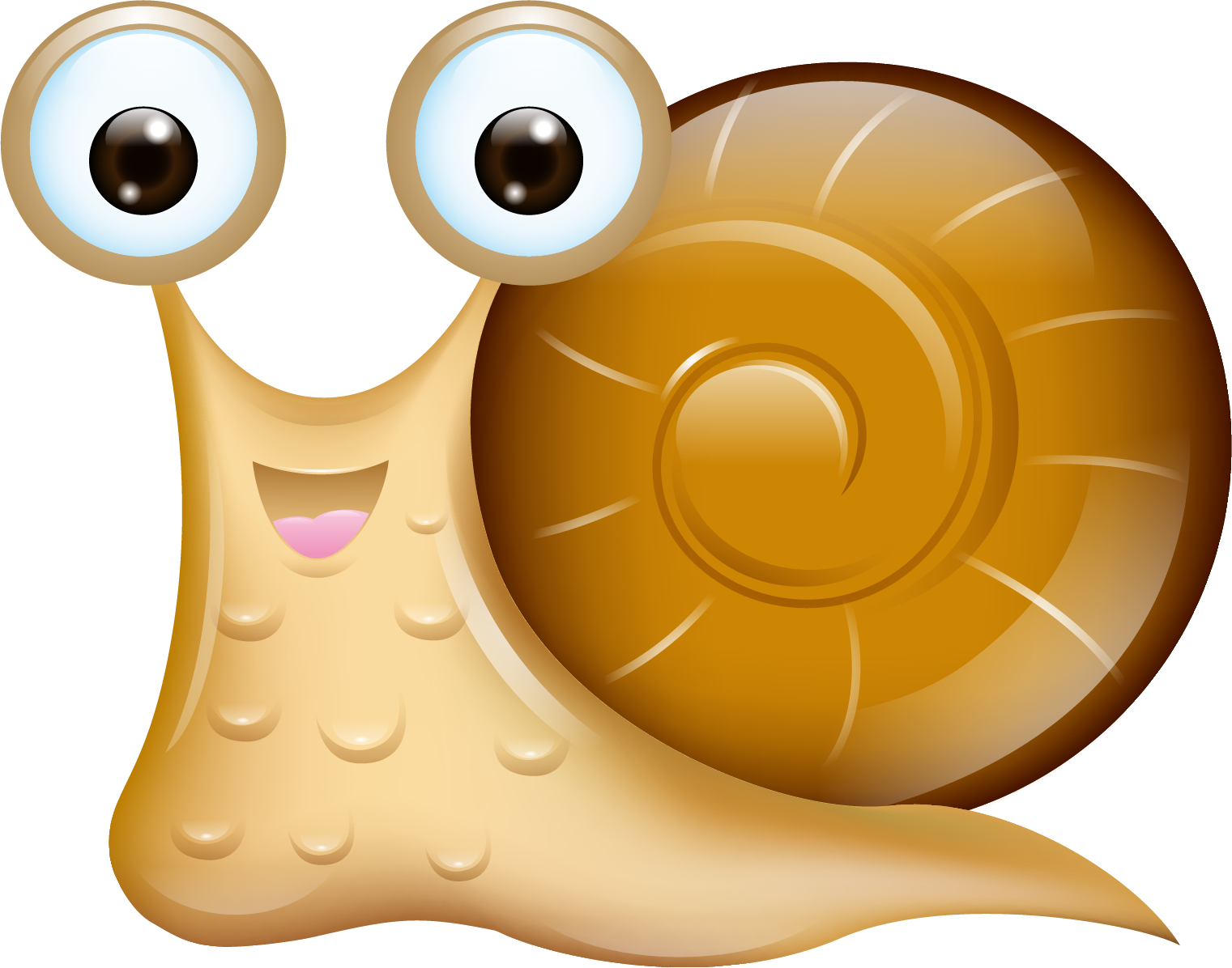 Snail Cartoon Orthogastropoda - Vector Cute Snail (1521x1196)