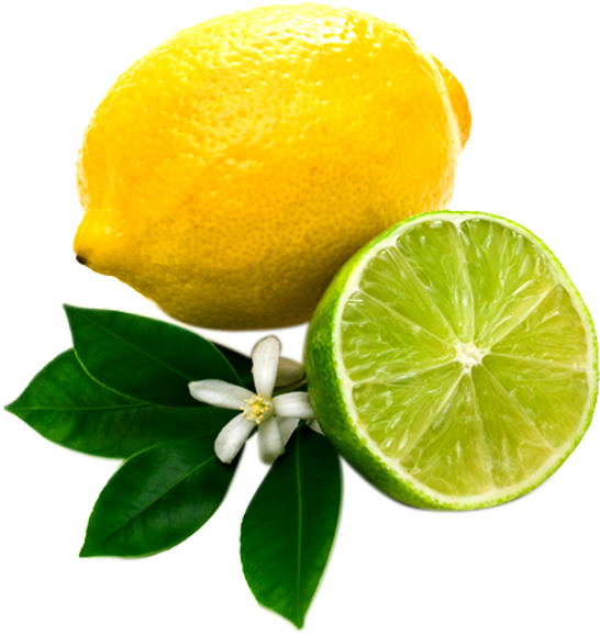 Lemon On Transparent Background (567x604)