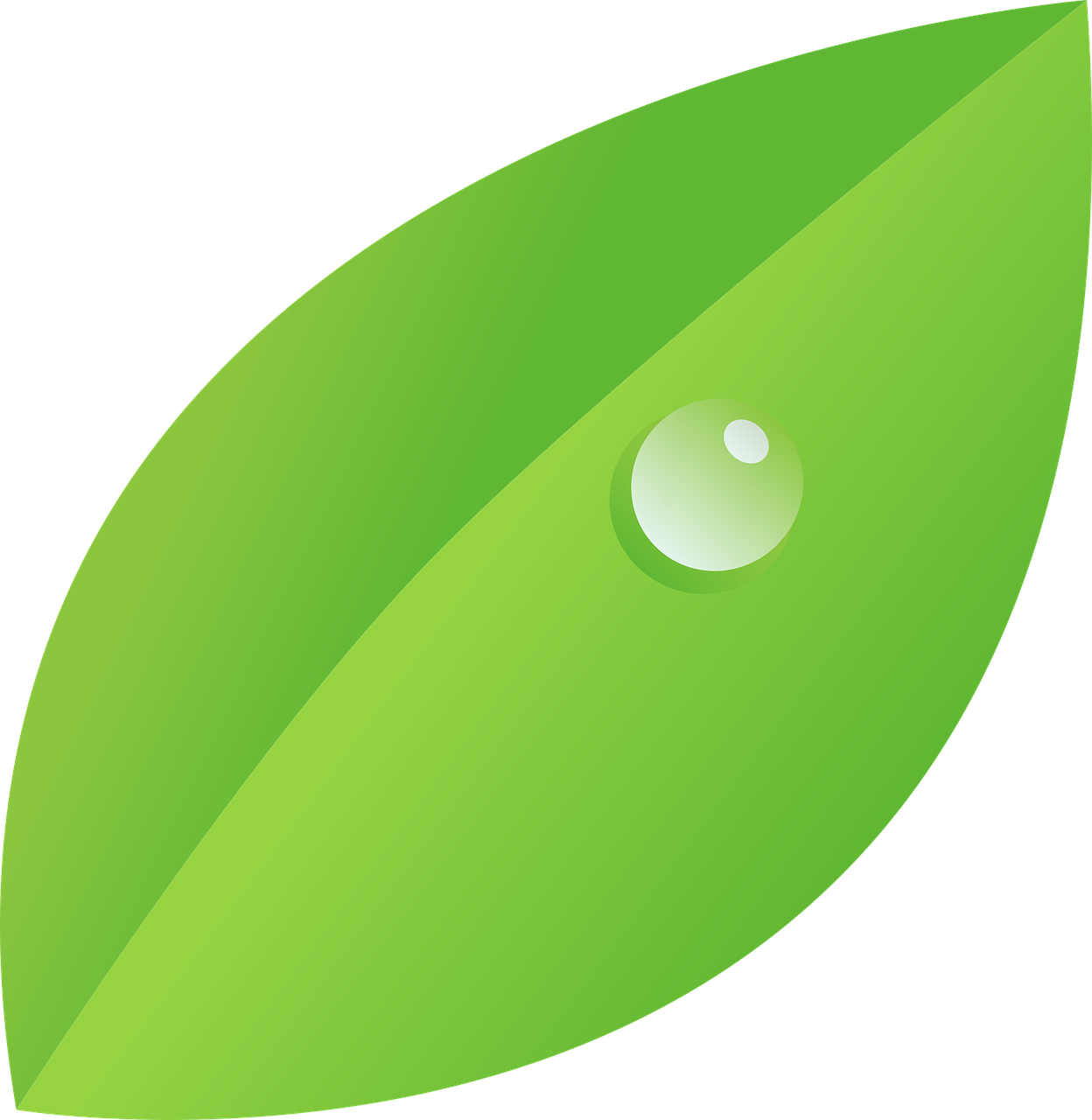 How To Draw A Leaf - Leaf With Dew Drops Clipart (1248x1280)