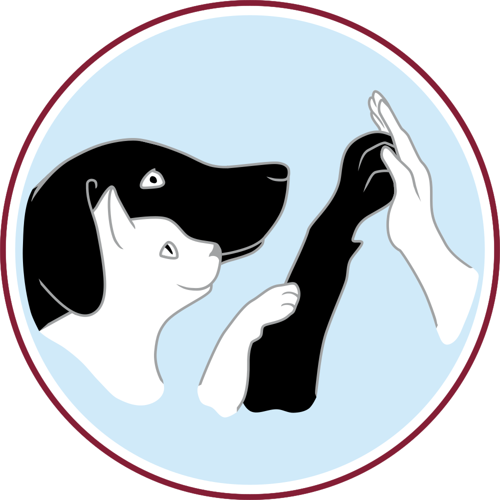 Fachtierarztpraxis Herzogstraße Für Kleintiere In - Illustration (1000x1000)