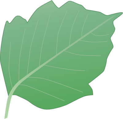 19 Poison Ivy Vines Vectors Images Poison Ivy Vine - Fully Licensed And Insured (400x386)