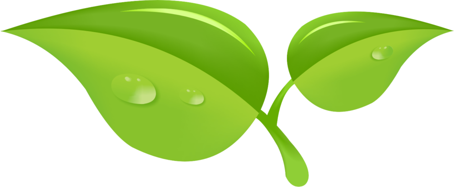 Leaf By Unspoken4eva - Leaf Drawing In Green Png (900x372)