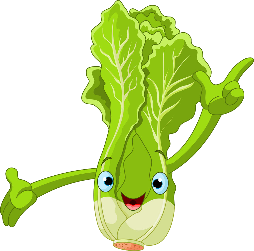 Lettuce Cartoon Royalty-free Clip Art - Lettuce Clip Art (1000x986)