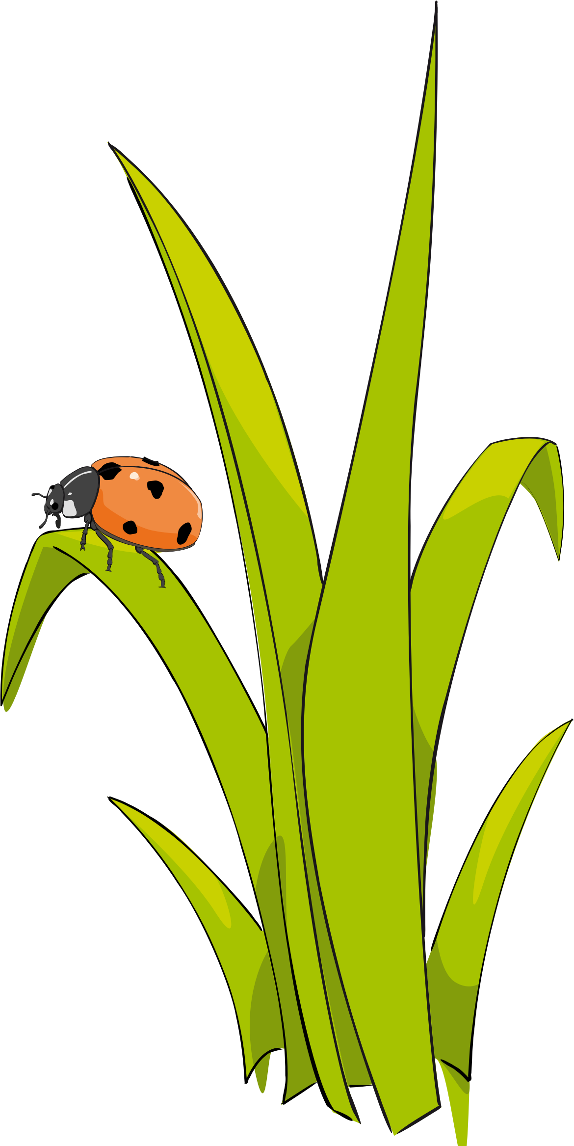 Grass Cartoon - Un Brin D Herbe (1170x2335)