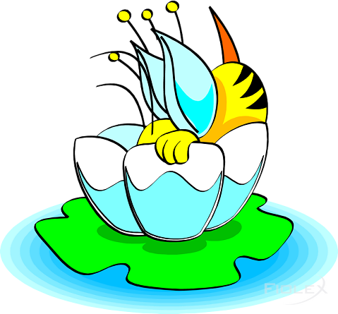 Biene In Blume - Biene In Blume (479x445)
