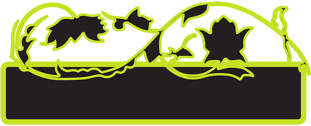 Decoration Black, Green, Design, Banner, Vine, Blank, - Green Design Orange Banner Blank Decoration (640x320)