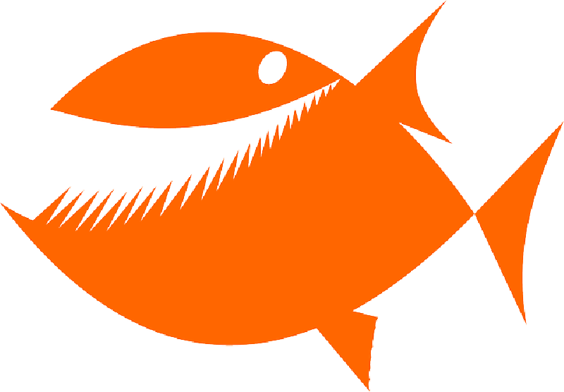Biting Piranha, Fish, Silhouette, Hungry, Happy, Teeth, - Restaurant Danilo (800x556)