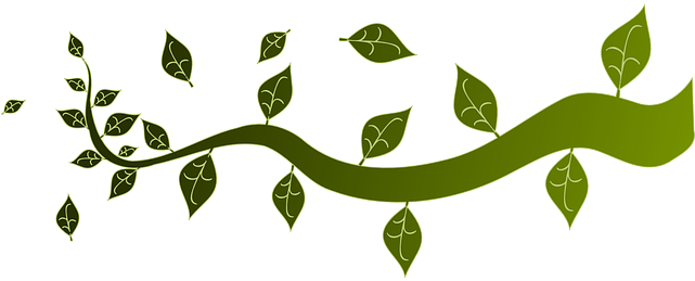 Ornament Branch, Leaves, Nature, Tree, Twig, Ornament - Tree Borders Clip Art (640x320)