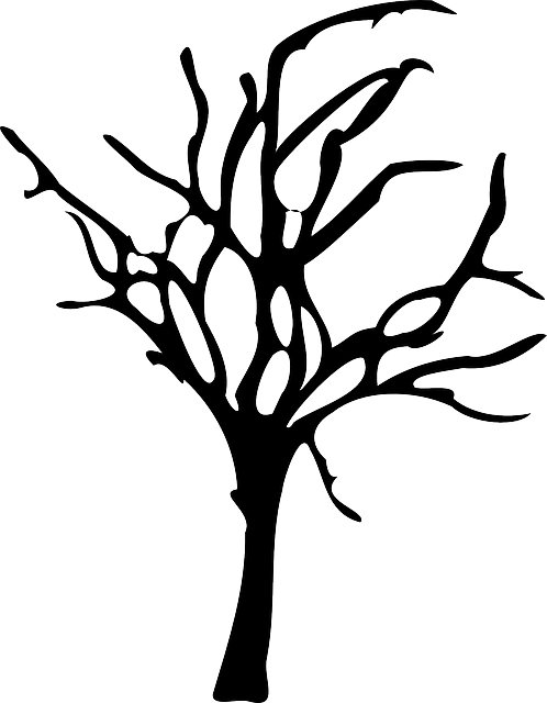 Winter Forest Decline, Forest Dieback, Tree, Dead, - Spooky Tree Silhouette Png (498x640)