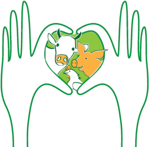 Illustration (512x512)