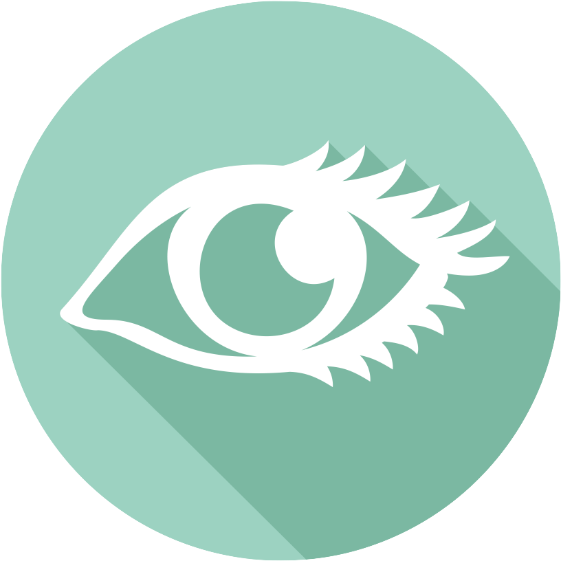 Eye-icon - Circulatory System (989x845)