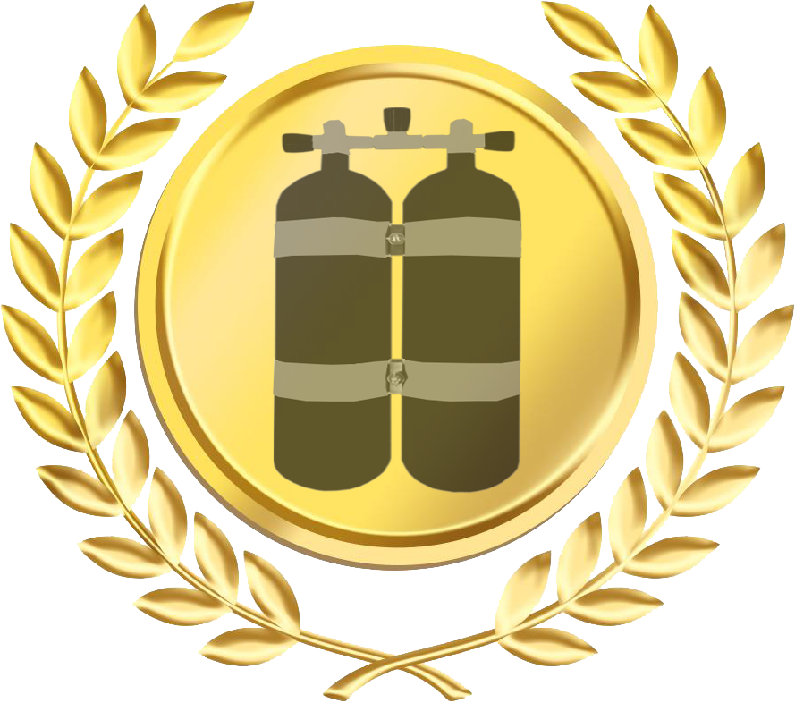 Laurel Wreath Bay Laurel Crown Medal - Medal (889x786)