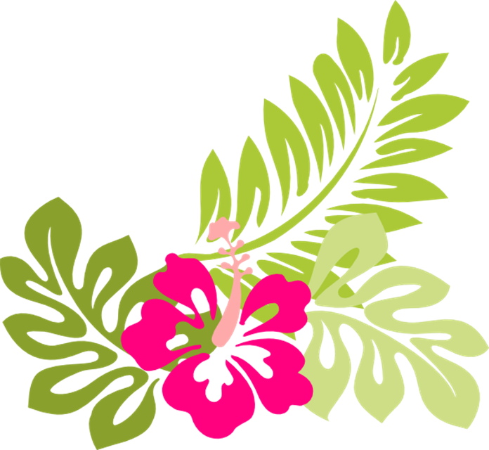 Summer Flowers Clipart Butterfly And Flowers - Hawaiian Flower Png (696x640)