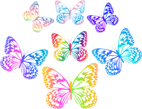 Decorative Multicolored Butterflies Png Clip Art - Mein Fantastisches Leben - Von Wegen! (600x461)