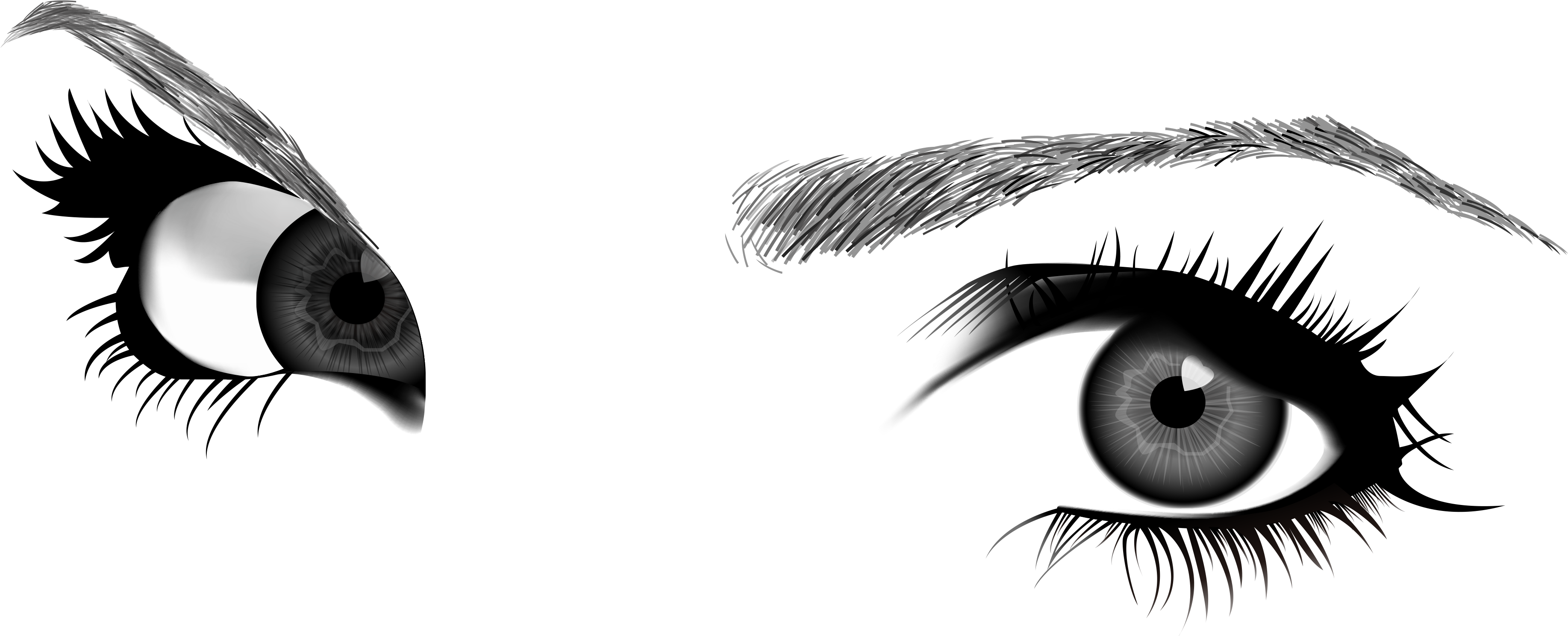 Eyebrow Drawing Euclidean Vector - Eyebrow Drawing Euclidean Vector (3718x1550)