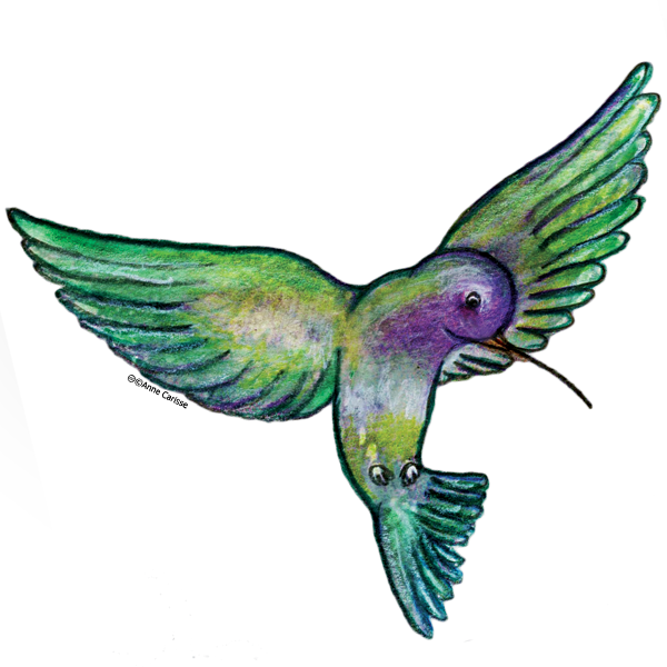 Paxgalaxy - Clipart Colibri (600x600)