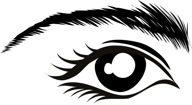Eye Eyebrow Lashes Mascara Stare Watch Bla - Eye Clip Art (617x340)