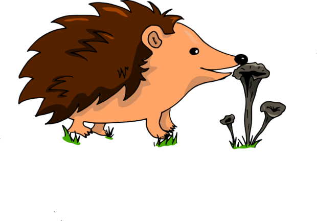 Elegant Pense Bte De Luanimateur With Liste Des Champignons - Illustration (620x432)