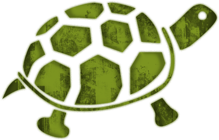 Sea Turtle Clipart - Slow And Steady Wins The Race Clipart (512x512)