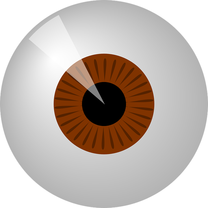 Brown Eyes Clipart Human Eye - Eye Clip Art (720x720)