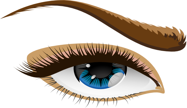 Brown Eyes Clipart Human Eye - Human Eye Clip Art (600x347)