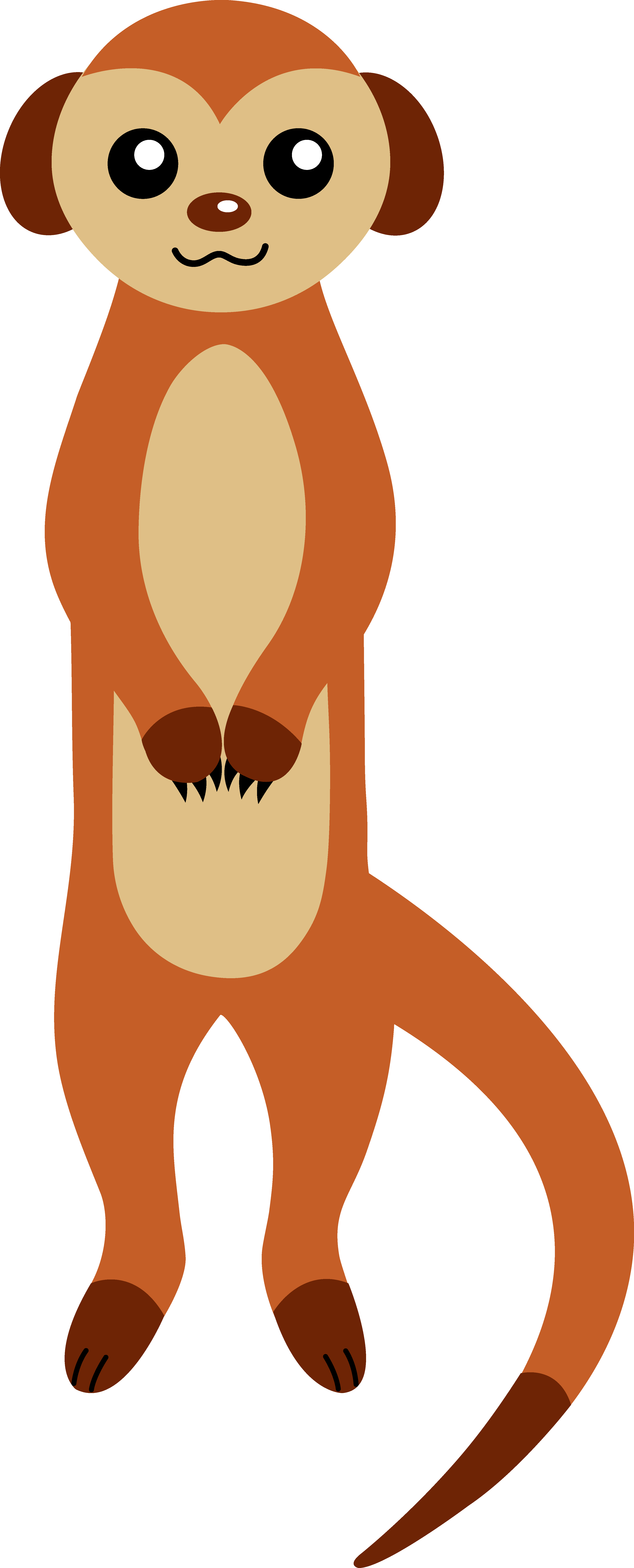 Meerkat Clipart - Mongoose Clip Art (3670x9071)