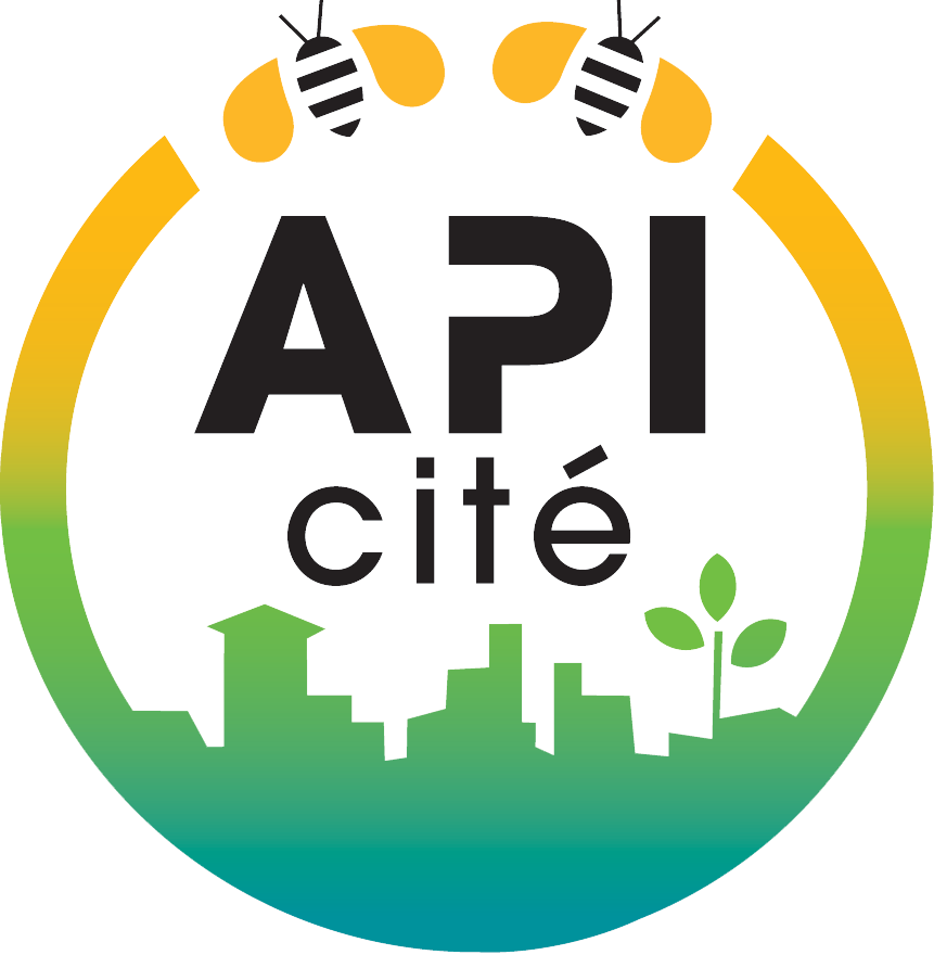 Label Ff Cyclotourisme Api Cité - Api Cité (861x880)