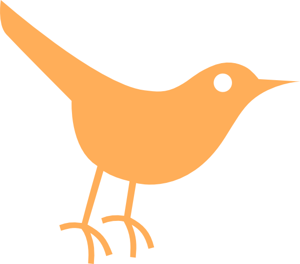 Light Orange Twitter Bird Icon Png Clip Art - Cute Cartoon Orange Birds (600x527)