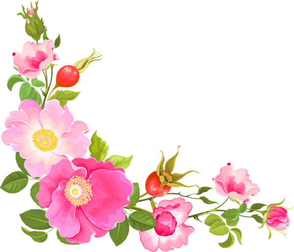 Clipart Gratuit Bordure Fleurs - Flower Corners (600x516)