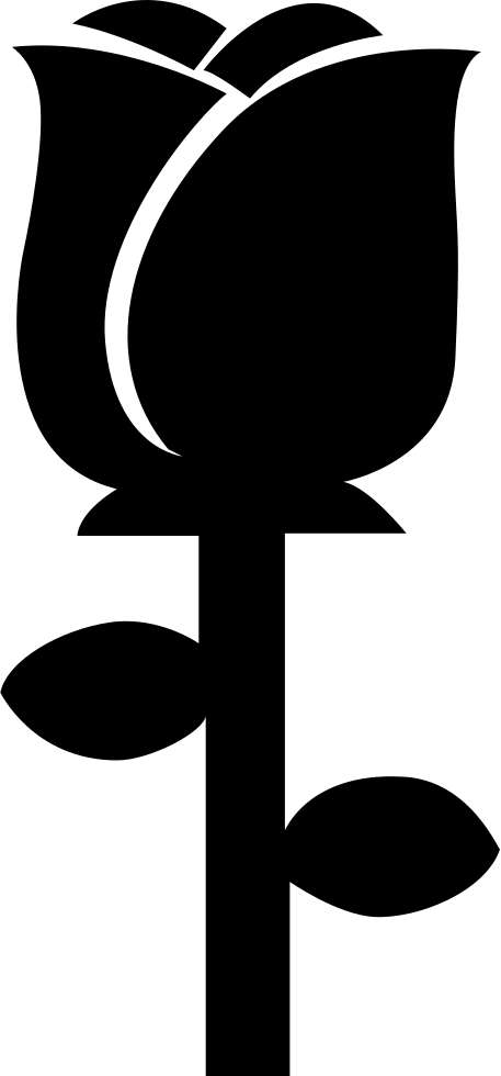 Png File - Png File (457x980)