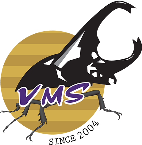 Siamese Rhinoceros Beetles Or Fighting Beetles, We - School (500x537)