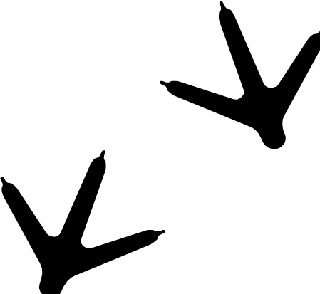 Hunting - Turkey Track Clip Art (449x413)