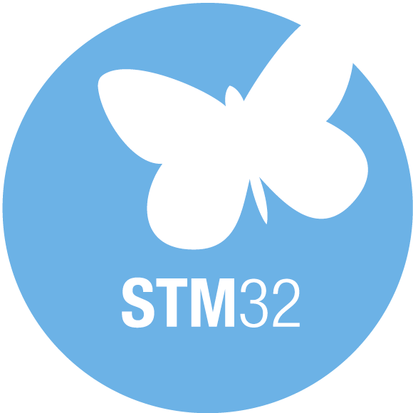 Stm32 (580x580)