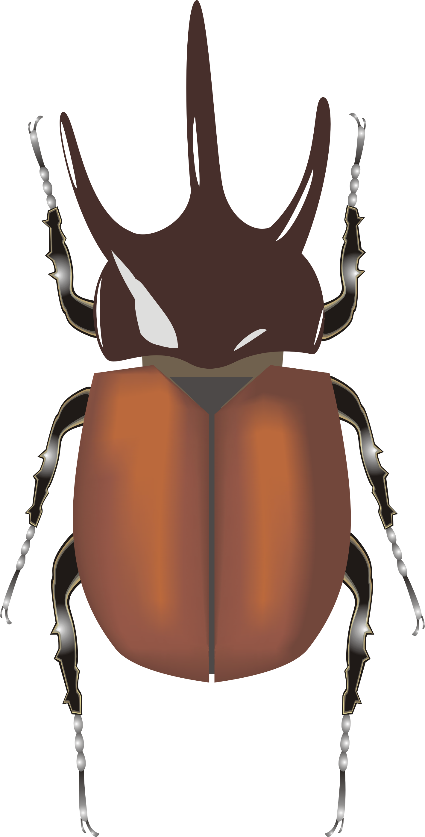 Elephant Beetle (1420x2795)