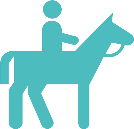 Cheval Dans Les Vosges - Horse Rider Baby Blanket (463x436)